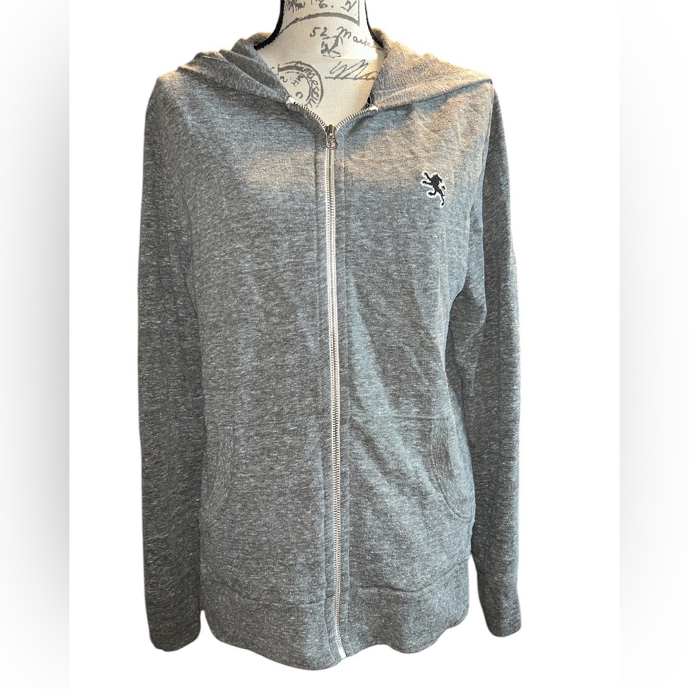 Express Gray Zippered Hoodie Sweatshirt